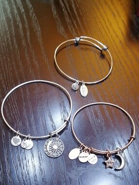 Cosmic Balance Alex&Ani Silver-Tone Sunburst & Charm  Copper Bangles Bundle